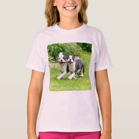 Cute grappige Boston Terrier dogs puppies spelen - T-shirt (Voorkant)