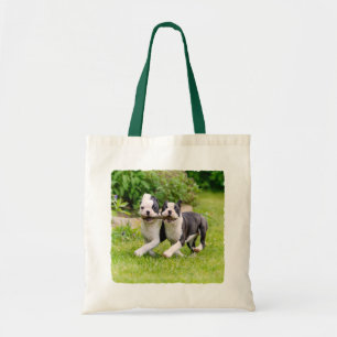 Cute grappige Boston Terrier dogs puppies spelen - Tote Bag