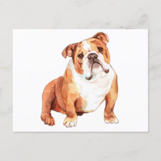 Cute grappige Britse Bulldog zit Briefkaart