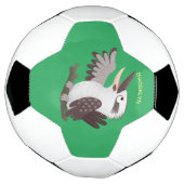 Cute grappige cartoon kookaburra voetbal (Gedraaid)