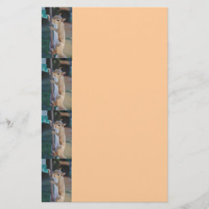 Cute, grappige eekhoorn Stationery Briefpapier