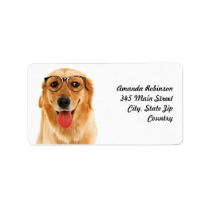 Cute grappige Golden Retriever hond Etiket