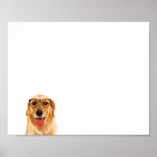 Cute grappige Golden Retriever hond Poster (Voorkant)