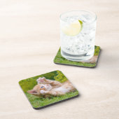 Cute grappige kattenkatjes die in een bloeiende tu bier onderzetter (Rechterzijde)