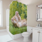 Cute grappige kattenkatjes die in een bloeiende tu douchegordijn (In situ)