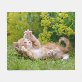 Cute grappige kattenkatjes die in een bloeiende tu fleece deken