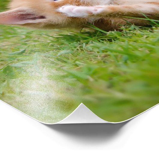 Cute grappige kattenkatjes die in een bloeiende tu foto afdruk (Hoek)