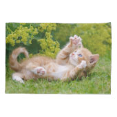 Cute grappige kattenkatjes die in een bloeiende tu kussensloop (Achterkant)