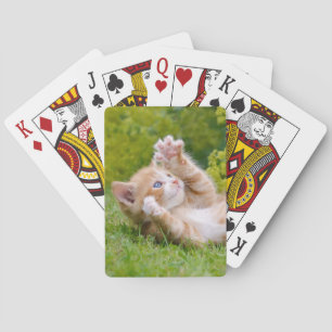 Cute grappige kattenkatjes die in een bloeiende tu pokerkaarten