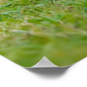 Cute grappige kattenkatjes die in een bloeiende tu poster (Hoek)