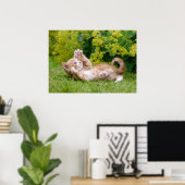 Cute grappige kattenkatjes die in een bloeiende tu poster (Thuiskantoor)