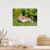 Cute grappige kattenkatjes die in een bloeiende tu poster (Keuken)
