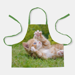 Cute grappige kattenkatjes die in een bloeiende tu schort