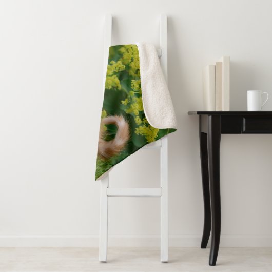 Cute grappige kattenkatjes die in een bloeiende tu sherpa deken (In situ)