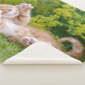 Cute grappige kattenkatjes die in een bloeiende tu sherpa deken (3/4)