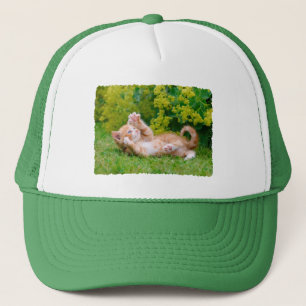 Cute grappige kattenkatjes die in een bloeiende tu trucker pet