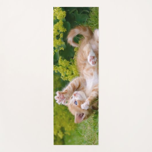 Cute grappige kattenkatjes die in een bloeiende tu yogamat (Voorkant)