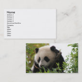Cute grappige panda visitekaartje (Voorkant / Achterkant)