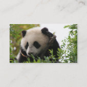 Cute grappige panda visitekaartje (Achterkant)