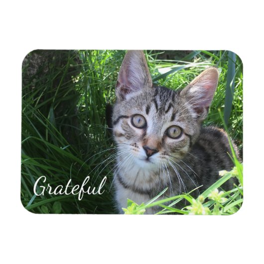 Cute Gratitude Kitten Magneet (Horizontaal)