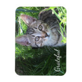 Cute Gratitude Kitten Magneet (Verticaal)