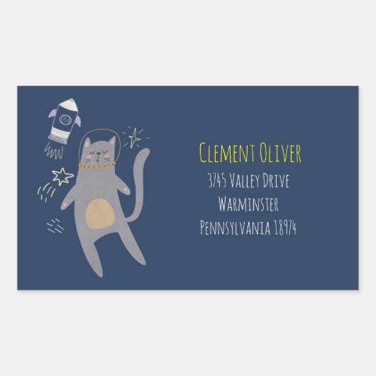 Cute Gray Astronaut Cat Custom Name Rechthoekige Sticker (Voorkant)