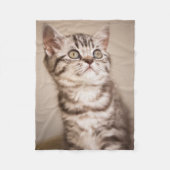 Cute Gray British Short Hair Kitten (Blue Tabby) Fleece Deken (Voorkant)