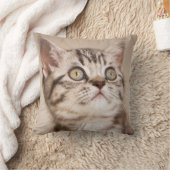 Cute Gray British Short Hair Kitten (Blue Tabby) Kussen (Deken)