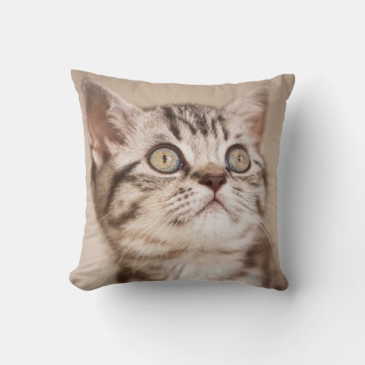 Cute Gray British Short Hair Kitten (Blue Tabby) Kussen (Voorkant)