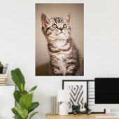 Cute Gray British Short Hair Kitten (Blue Tabby) Poster (Thuiskantoor)