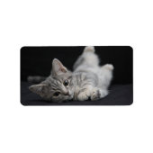 Cute Gray Cat Etiket (Voorkant)