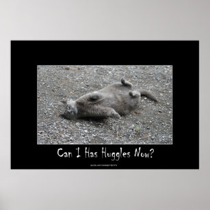 Cute Gray Cat Funny Huggles Poster