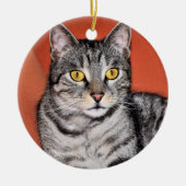 Cute Gray Cat Portrait Keramisch Ornament (Voorkant)