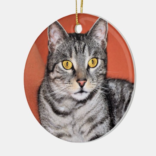 Cute Gray Cat Portrait Keramisch Ornament (Links)
