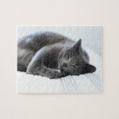 Cute Gray Cat Puzzle Legpuzzel (Horizontaal)