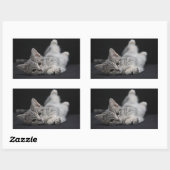Cute Gray Cat Rechthoekige Sticker (Vel)