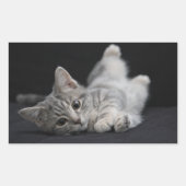 Cute Gray Cat Rechthoekige Sticker (Voorkant)