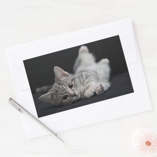 Cute Gray Cat Rechthoekige Sticker (Envelop)