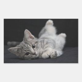 Cute Gray Cat Rechthoekige Sticker