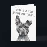 Cute Gray Dog Funny Happy Birthday Kaart<br><div class="desc">Dit is een portret van een grijze roofhond met wit op zijn borst. Het heeft één gehoor. Hij heeft een regale blik op zijn gezicht. Hij is aan een grote kant en heeft een groot en spiraal gezicht. Dit werd geschetst met potlood en dan digitaal gekleurd met pastel. Het zegt:...</div>