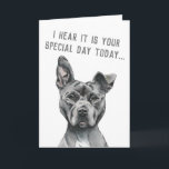 Cute Gray Dog Funny Happy Birthday Kaart<br><div class="desc">Dit is een portret van een grijze roofhond met wit op zijn borst. Het heeft één gehoor. Hij heeft een regale blik op zijn gezicht. Hij is aan een grote kant en heeft een groot en spiraal gezicht. Dit werd geschetst met potlood en dan digitaal gekleurd met pastel. Het zegt:...</div>