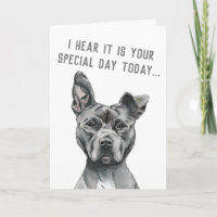 Cute Gray Dog Funny Happy Birthday