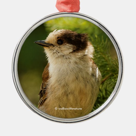 Cute Gray Jay Whiskeyjack Songbird Metalen Ornament (Voorkant)