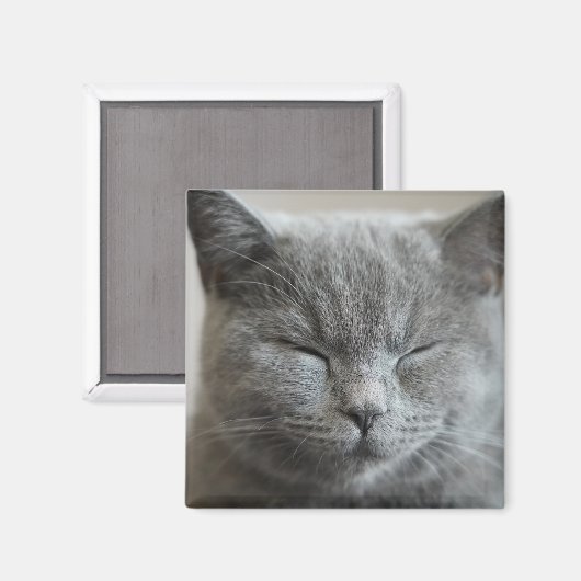 Cute Gray Kat Face Photo Magnet (Voorkant / Achterkant)