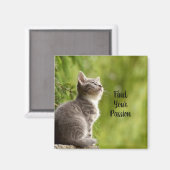 Cute Gray Kitten Magneet (Voorkant / Achterkant)