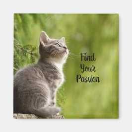 Cute Gray Kitten Magneet