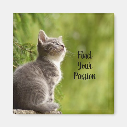 Cute Gray Kitten Magneet (Voorkant)