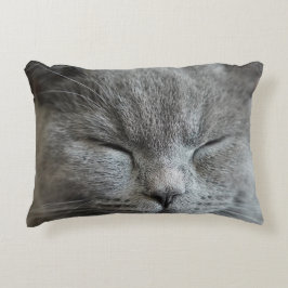 Cute Gray Kitty Cat Photo Accent Pillow Accent Kussen