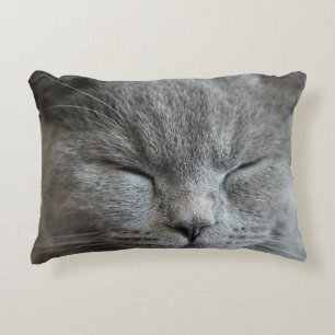 Cute Gray Kitty Cat Photo Accent Pillow Accent Kussen