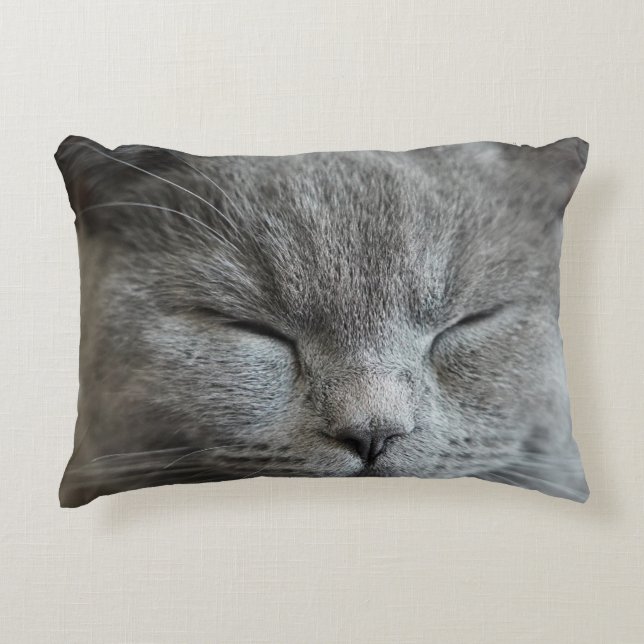 Cute Gray Kitty Cat Photo Accent Pillow Kussen (Voorkant)